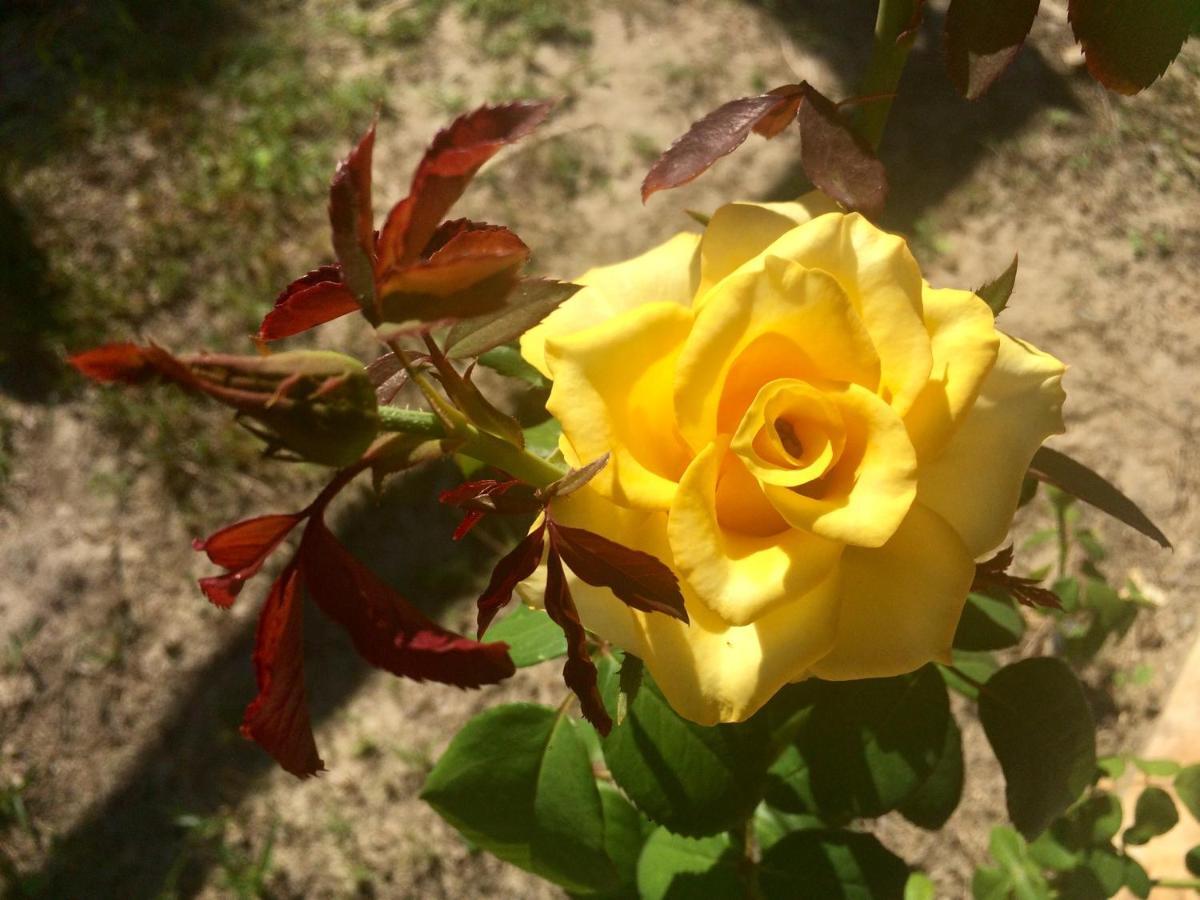 Pousada Kite Guajiru 이타레마 외부 사진